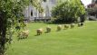 Lawn